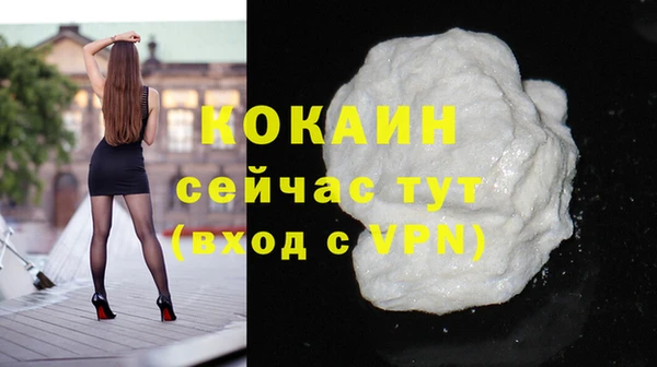 прущие грибы Магас