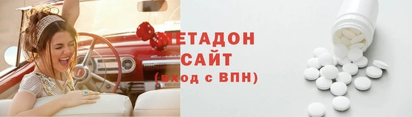 прущие грибы Магас