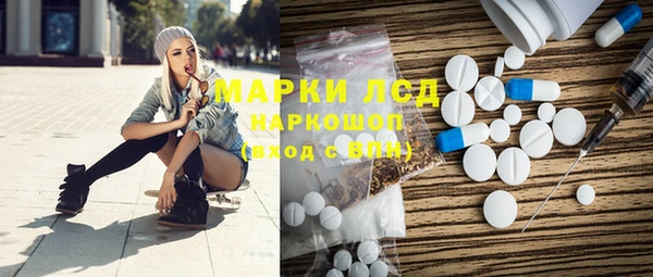 прущие грибы Магас