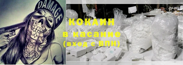 прущие грибы Магас