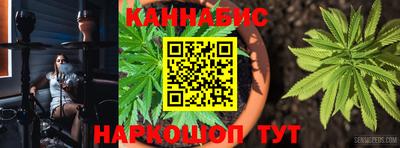 стафф Гагарин