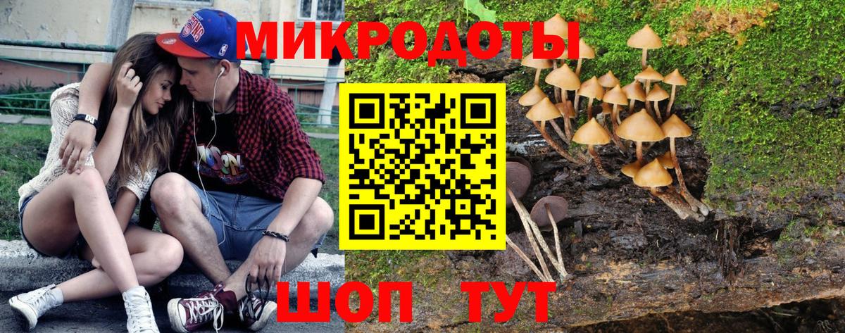 Галлюциногенные грибы мухоморы  где найти   Топки  Псилоцибиновые грибы ЛСД 