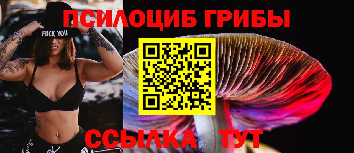 Псилоцибиновые грибы Psilocybine cubensis Топки